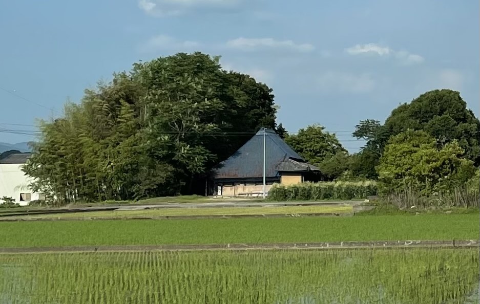 舞中島の田園風景2025年